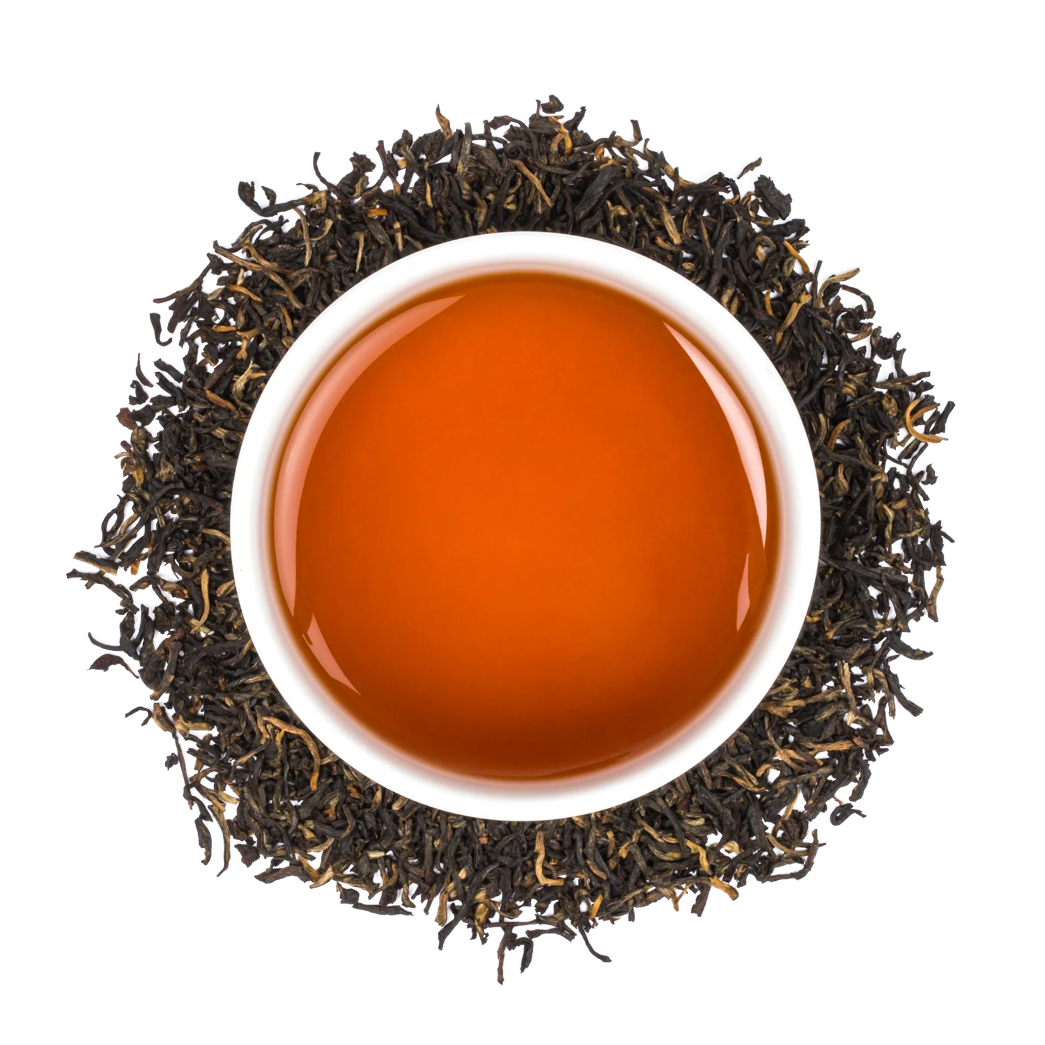 BC Forestea - Image 2