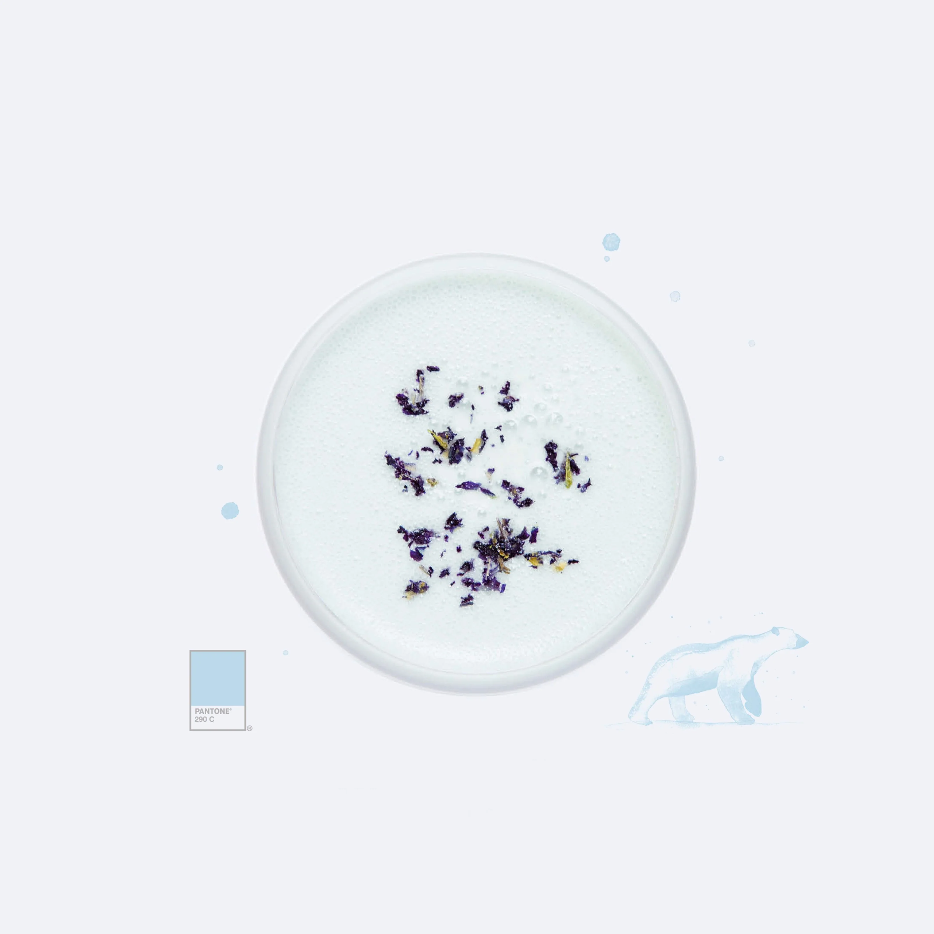 Organic Peppermint - Image 5